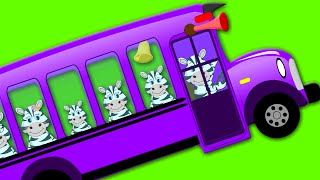 Zebra Wheels On The Bus  Nursery Rhymes For Childrens And Kids [upl. by Ettennan505]