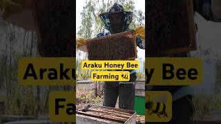 Honey Bee Farming🐝 Araku Honey beefarming honeybee vizag hangryshaik proddaturian [upl. by Enneiviv]