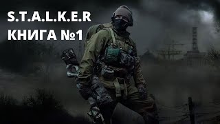 STALKER КНИГА 1 Аудиокнига Сталкер [upl. by Granger]