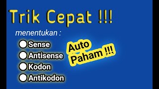 TRIK CEPAT  Menentukan sense antisense kodon antikodon [upl. by Ileray]