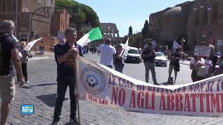 Manifestazione per il diritto alla casa [upl. by Issak974]