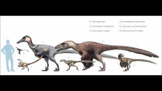 Dromaeosauridae Raptor Sound Effects [upl. by Parke]