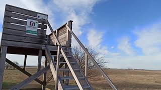 Hochstand Nationalpark Neusiedler See – Seewinkel Lange Lacke amp Wörthenlacken Bewahrungszone Apetlon [upl. by Heimer]