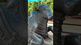 Mera bhola hai bhandari song nandi shiv thaanyashorts [upl. by Narine]