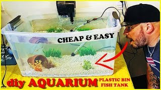 HOMEMADE AQUARIUM DIY PLASTIC BIN FISH TANK SETUP [upl. by Eartnoed929]