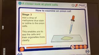 KS4GCSEBiologyCells Microscope practical [upl. by Ameline788]