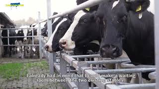 MobiStar Swing flexible Dairymaster milking parlour  De Lange The Netherlands [upl. by Natasha]