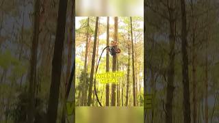 Powerful Tree Pruning Machine Clear Branches in Secondshortsviral shortsfeed shortsvideo shorts [upl. by Catina598]