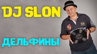 Dj Slon  Дельфины все дельфины в ураган  Аудио [upl. by Llewkcor]