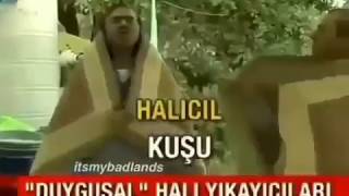 Halıcıl kuşları kirlerinden arınarak LAKLAKLAKALAKLIYOR [upl. by Htiffirg183]