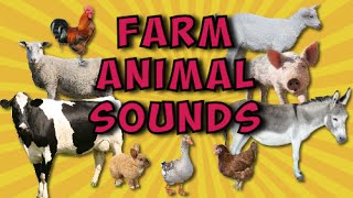 Farm Animal Sounds [upl. by Gerhardt92]