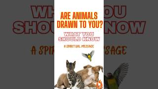 The Spiritual Meaning Behind Animals Being Drawn to You  spiritual animalguides lovetarot [upl. by Gussi]