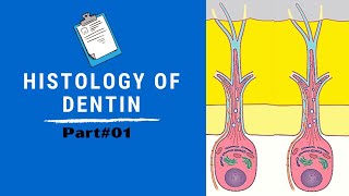 Histology of Dentin  Dentin Pulp Complex Session 4 [upl. by Idahs447]