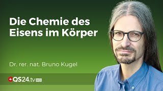 Chemische Komplexität im Körper Dr Bruno Kugel enthüllt die Wahrheit über Eisenmangel  QS24 [upl. by Aliahs]