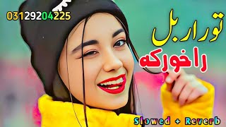 Tor Orbal Rakhor Ka  Pashto New  SlowedReverb Songs 2024 Lofi Songs 2024 [upl. by Ernesta43]