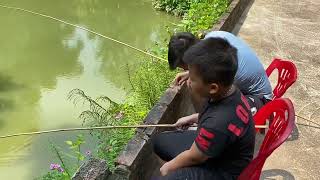 Câu cá ao nhà Go fishing in Vietnam countryside [upl. by Marzi]