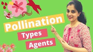 🌺 Pollination and Fertilisation Class 9 ICSE biology Types Agents of Pollination in Plants Class 9 [upl. by Madeline]