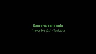 Raccolta della soia  4 novembre 2024 [upl. by Amaleta]