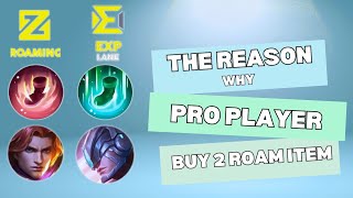 Here is Why Pro Player Buy 2 Roam Item in Tournament Match [upl. by Phyllida]