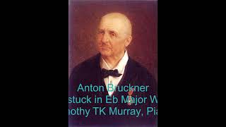 Bruckner  Klavierstuck in Eb Major Wab119  Timothy TK Murray Piano [upl. by Idnahc]