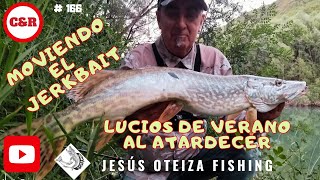 Pesca de lucios al atardecer ¡domina el arte del jerkbait [upl. by Zitah]