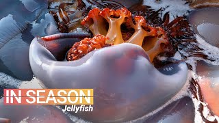 How Jellyfish is Eaten in China  In Season S1E5 [upl. by Dnarud]