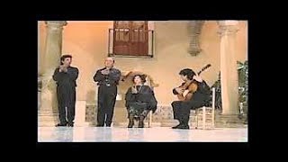 Chiquito al compás por bulerías con Eulalia Sánchez la Gallina  Flamenco en Canal Sur [upl. by Yelad]