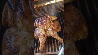 Spatchcock Chicken spatchcockchicken chickenrecipes grilling grilledchicken [upl. by Nwadrebma]