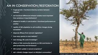 Lesson 46  Arbuscular mycorrhizal fungi AMF in restoration [upl. by Spatola]