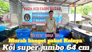 Kebangeten murahnya paket koi di tempat ini Ada koi jumbo 64 cm ikut di Review [upl. by Asseram129]