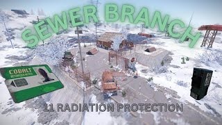 HOW TO RUN SEWER BRANCH RUST [upl. by Aneeh]