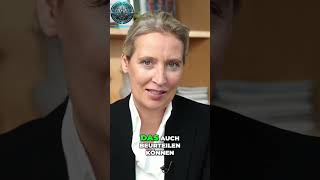 Alice Weidel Putin und die Demokratie  Steinmeiers klare Ansage [upl. by Elodia]