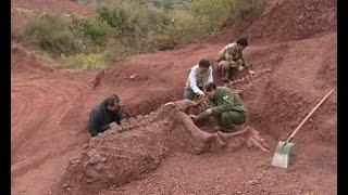 180 mlnyearold dinosaur fossils discovered in SW China [upl. by Ardel]