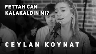 Ceylan Koynat  Kalakaldın mı Cover [upl. by Akcired]