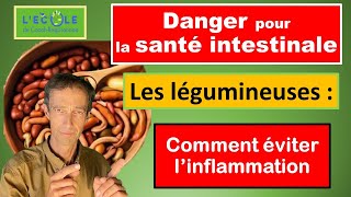 Digestion difficile et problème aux Intestins  pourquoi et comment TOUJOURS cuire les légumineuses [upl. by Merrill]