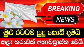 ADA DERANA NEWS  HIRU BREAKING NEWS  Special announcement issued by President Media Unit now [upl. by Rickie]