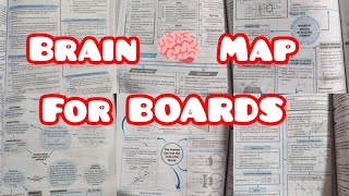 All the BRAIN MAPS of SCIENCE for 10th boards  AMU 11TH ENTRANCE 👍✨ amu board map [upl. by Arrimat230]