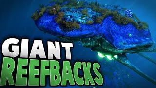 Subnautica  GIANT REEFBACKS MESMER amp LOST RIVER UPDATES  Subnautica Early Access Gameplay [upl. by Mechelle]