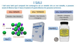 NOMENCLATURA DEI SALI [upl. by Ellehcar]