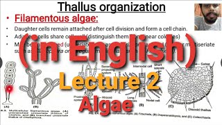 Algae Lecture 2  Thallus Organisation [upl. by Gualtiero]