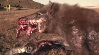 National geographic Documentary  Prehistoric predators  Wildlife Animals [upl. by Quennie491]