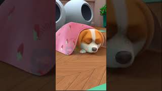 Teasing Hamster Gets a DogFarttastic Surprise doglover dog hamsterbabies [upl. by Noskcaj]