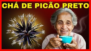 10 BENEFÍCIOS SURPREENDENTES DO CHÁ DE PICÃO PRETO [upl. by Saloma]