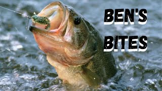 Bens Bites Episode 1 Fishing in WisconsinRice Lake WI [upl. by Tierza]