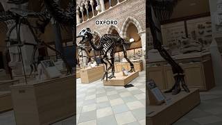 Oxford Museum shorts travel uk [upl. by Annuhsal675]