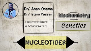 L1  Molecular biology  Bio  nucleotides [upl. by Emilia]