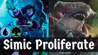 ALL THE COUNTERS Simic Proliferate Evolution Sage  Flux Channeler  MTG Arena  Deck Of The Day [upl. by Chapin]