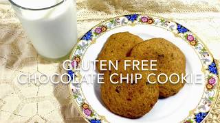 Gluten Free Chocolate Chip Cookies [upl. by Okram]