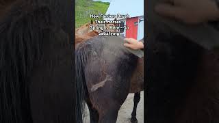 How Farriers Brush Their Horses  Spring is Here  So Satisfying foryou horse farrier asmr [upl. by Karlis]