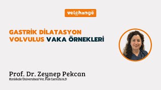 Gastrik Dilatasyon Volvulus Vaka Örnekleri Prof Dr Zeynep Pekcan [upl. by Eeram]